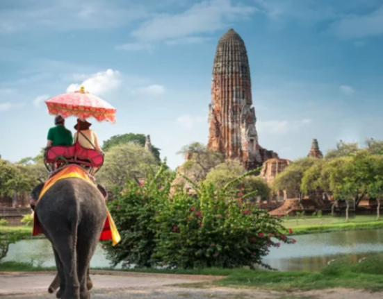 elephant thailand