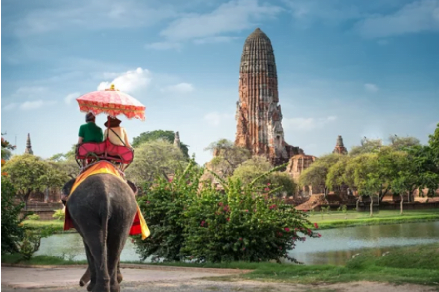 elephant thailand