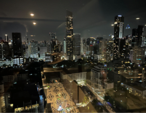 view while pissing