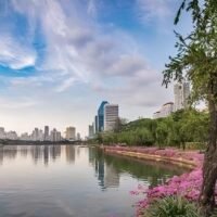 banjakitty park transformed