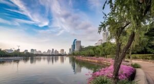 banjakitty park transformed