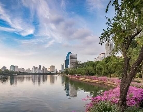 banjakitty park transformed