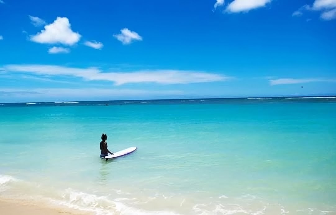 surfer transformed
