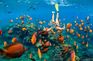 womansnorkeling transformed
