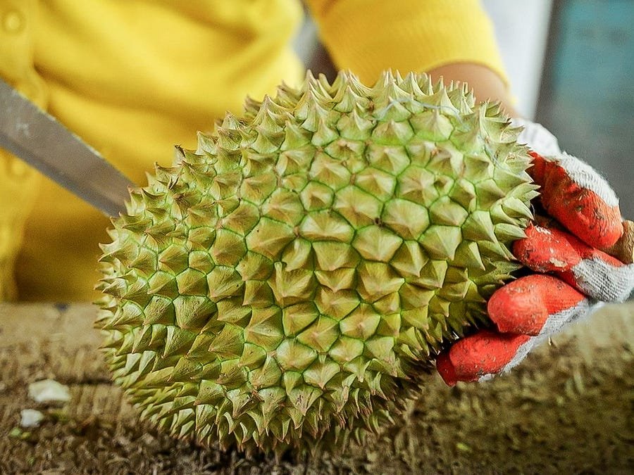 why nonthaburi durians are some of the most expensive on the market