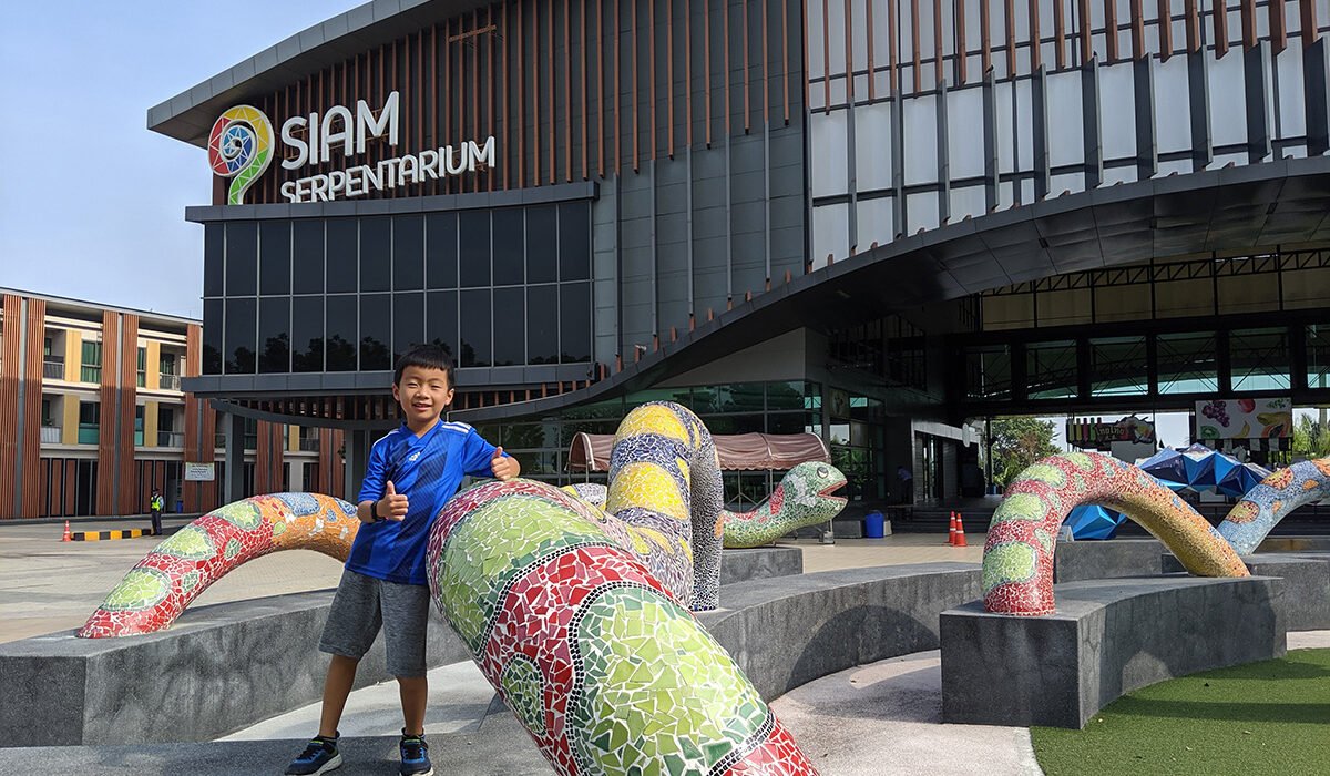 siam serpentarium toucan takes off