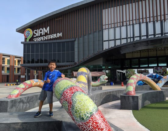 siam serpentarium toucan takes off