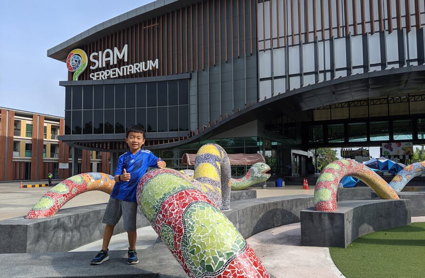 siam serpentarium toucan takes off