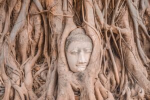 brown concrete face carved on brown tree