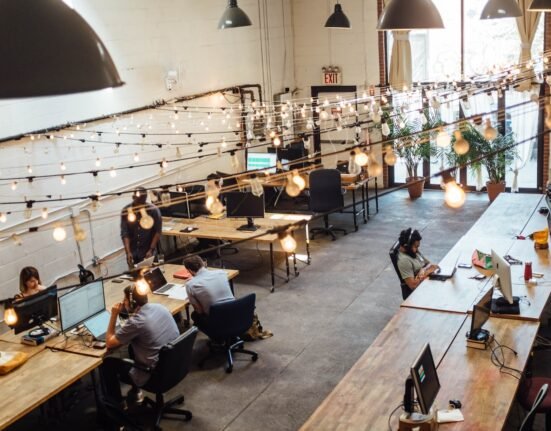 people sitting in front of computer monitors