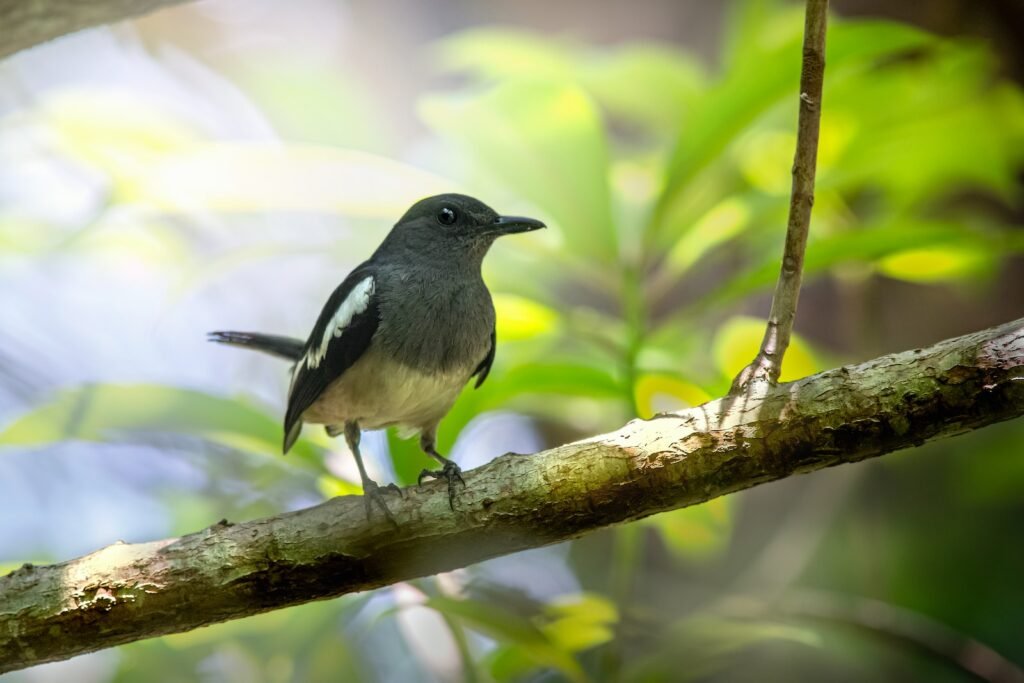 a small bird perched on a tree branch