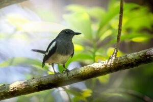 a small bird perched on a tree branch