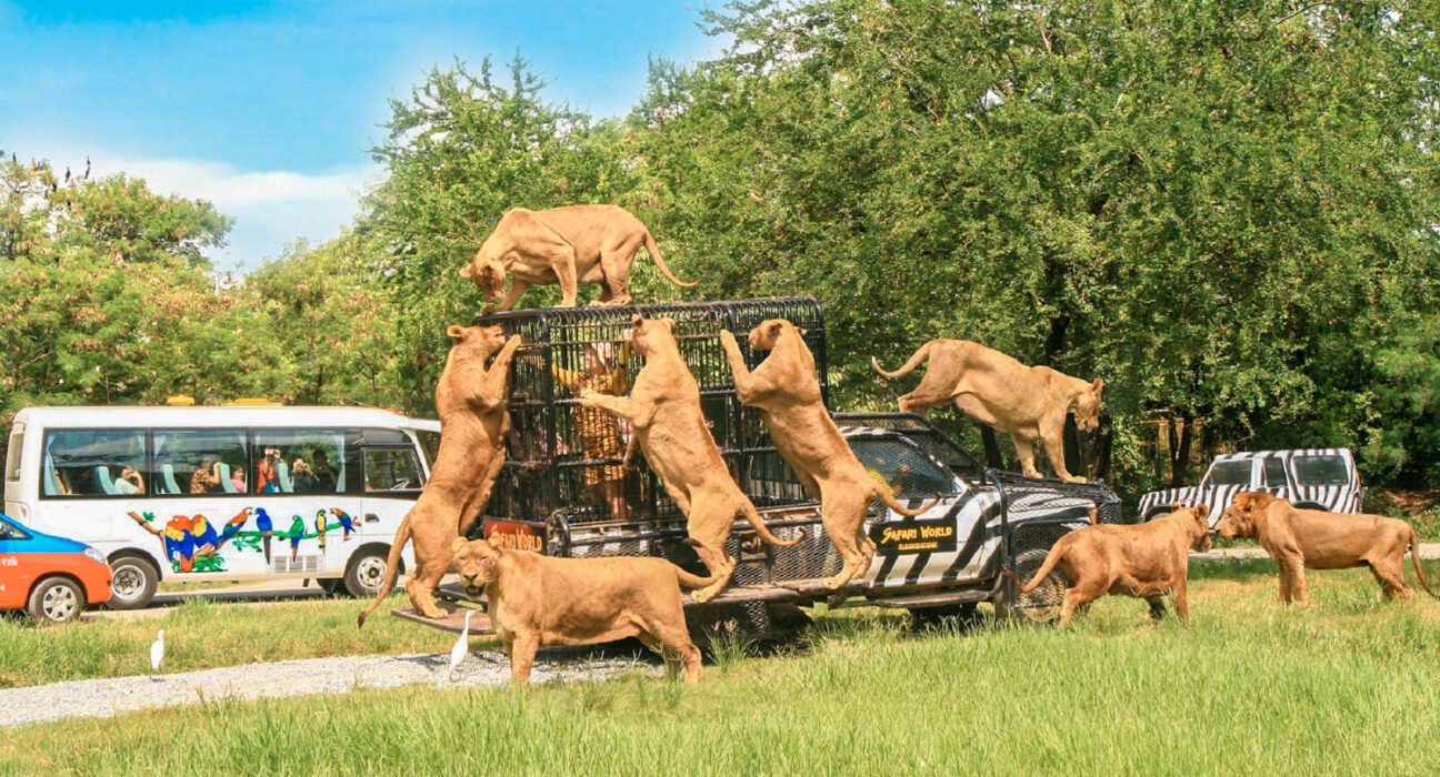 all the best safari world bangkok ticket options 2023