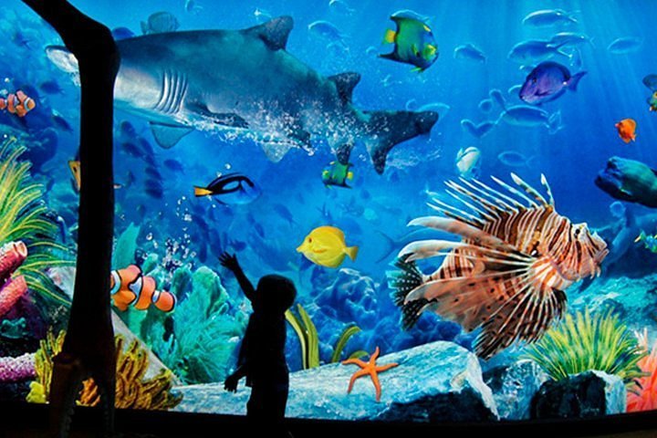 2023 sea life bangkok ocean world tickets provided by travstore