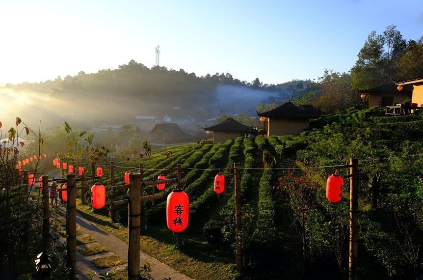 top attractions and activities