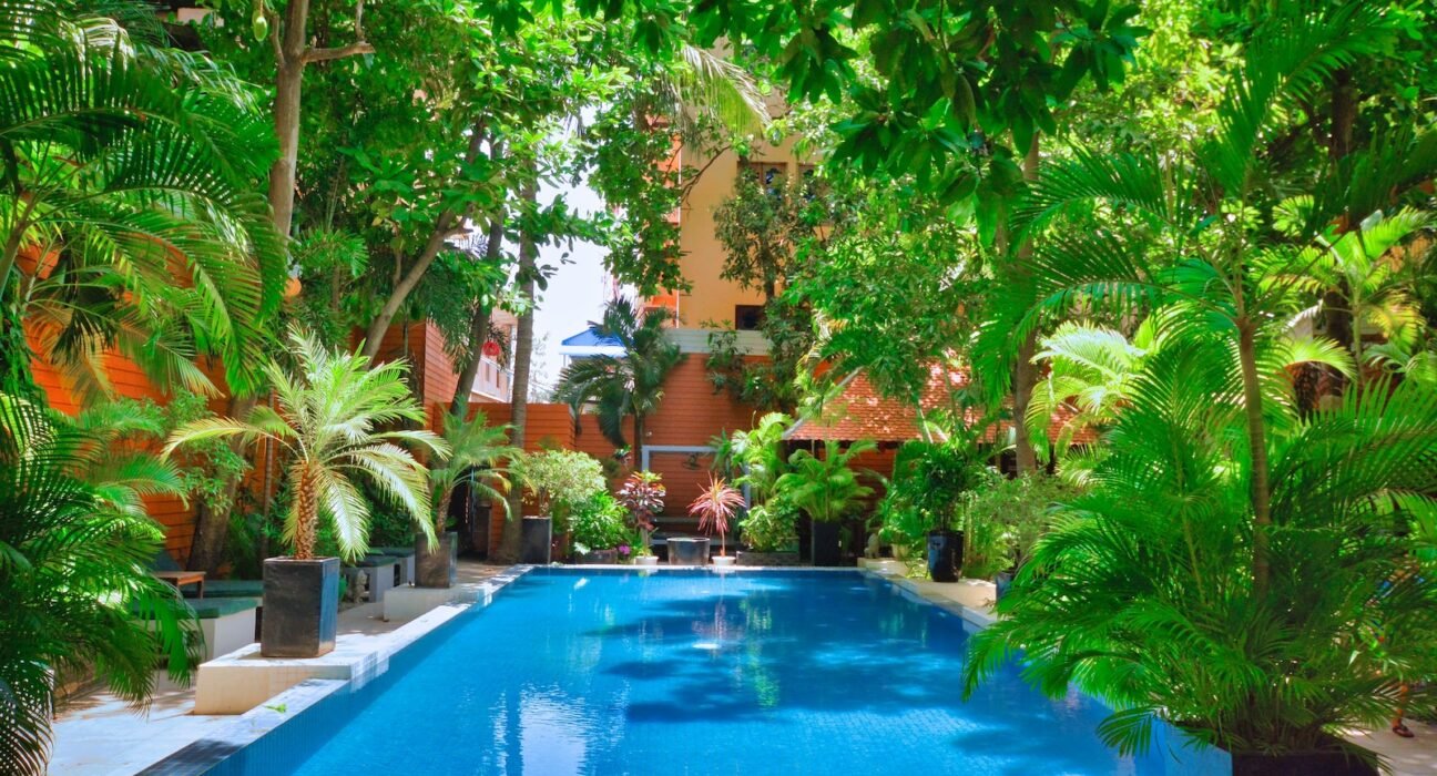 a swimming pool surrounded by trees and plants