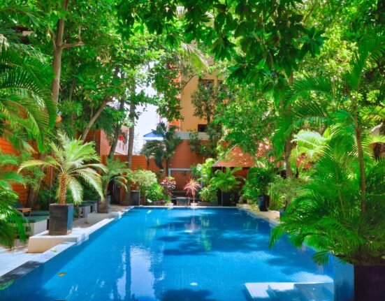 a swimming pool surrounded by trees and plants