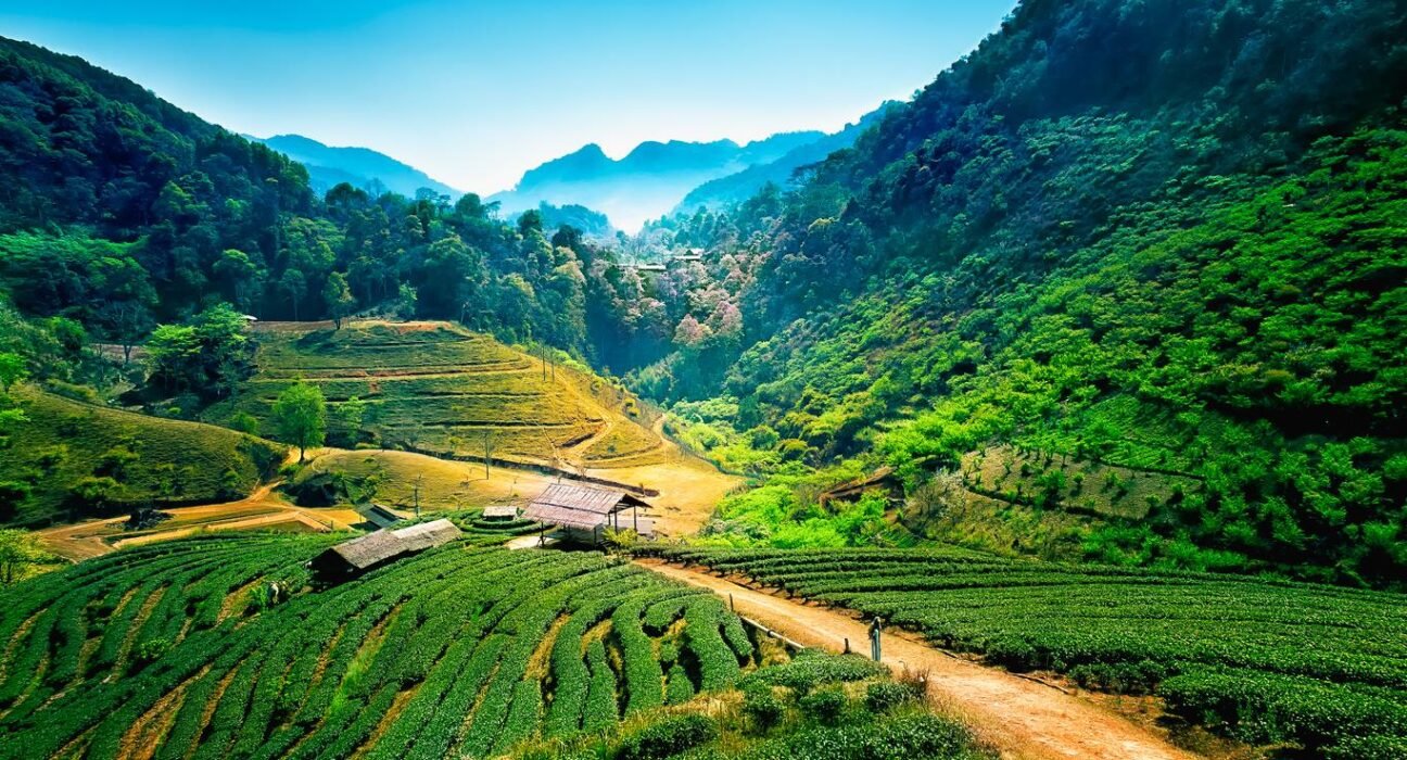 chiang mai travel guide | chiang mai tourism kayak