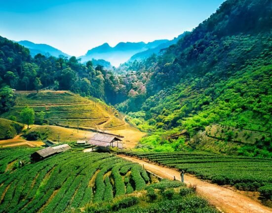 chiang mai travel guide | chiang mai tourism kayak
