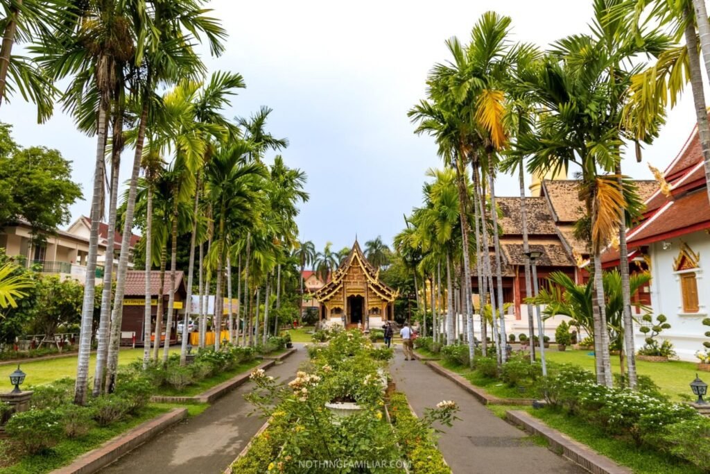 17 fun things to do in chiang mai thailand: old town & more!