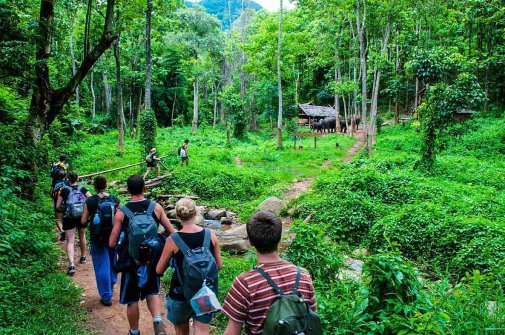 chiang mai trekking | ultimate guide to hiking, chiang mai, thailand