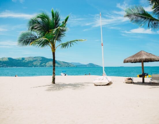 coconut tree near shore within mountain range