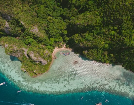 aerial view of beach