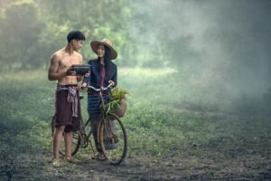 adult, agriculture, bicycle