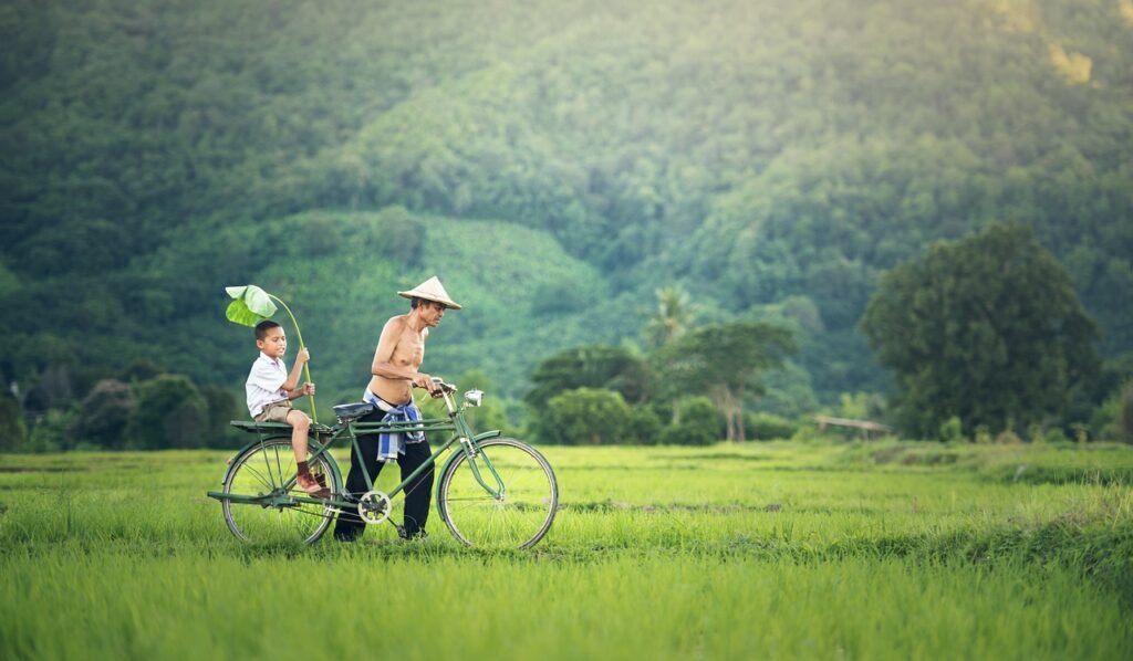 bicycle, cambodia, outside