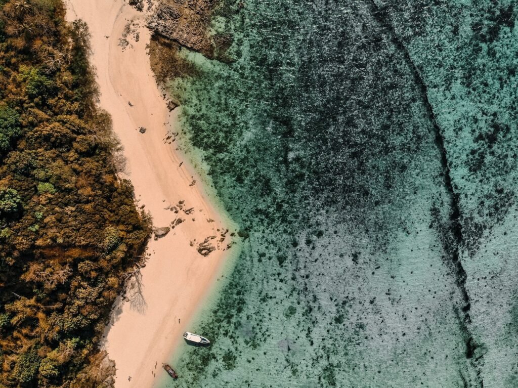 aerial view of green trees and white sand beach during daytime