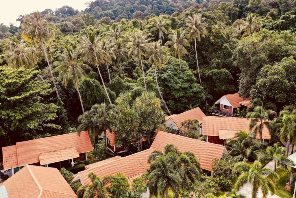 brown and white houses surrounded by green trees at daytime
