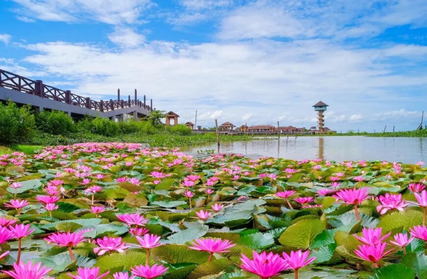escape pm 2.5 dust: visit thale noi in phatthalung province ...