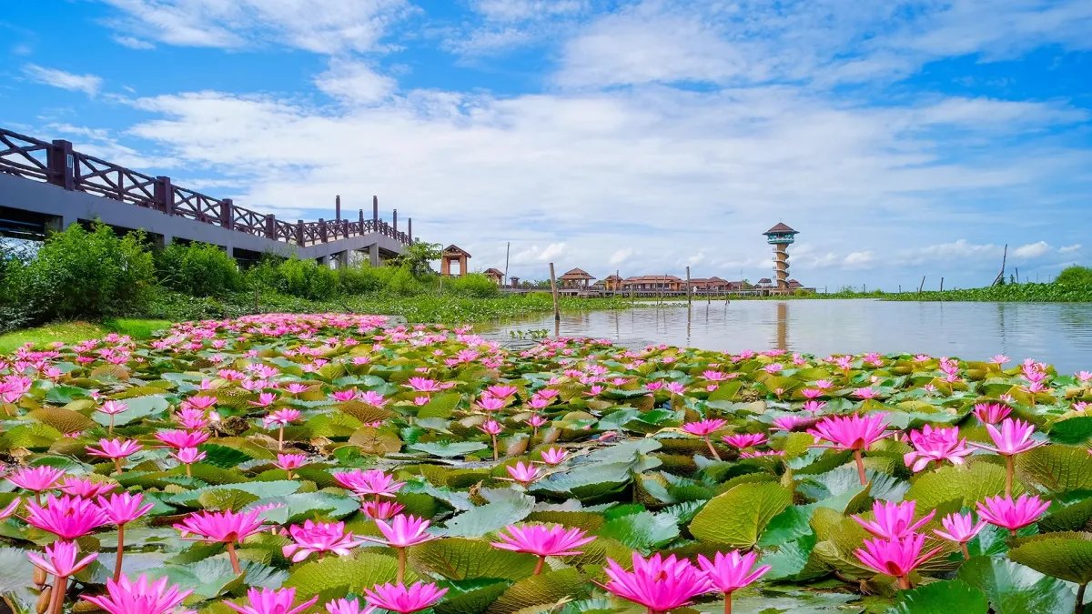 escape pm 2.5 dust: visit thale noi in phatthalung province ...