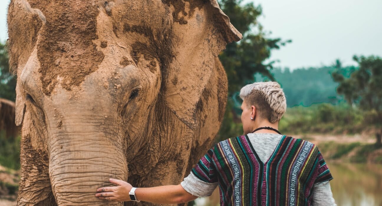 man wearing baja jacket touching brown elephant covered with mud
