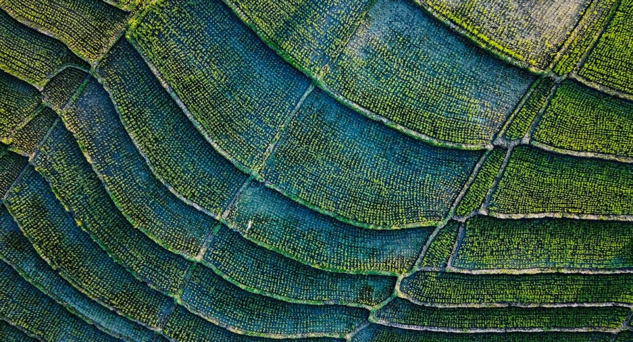 green and black textile in close up photography