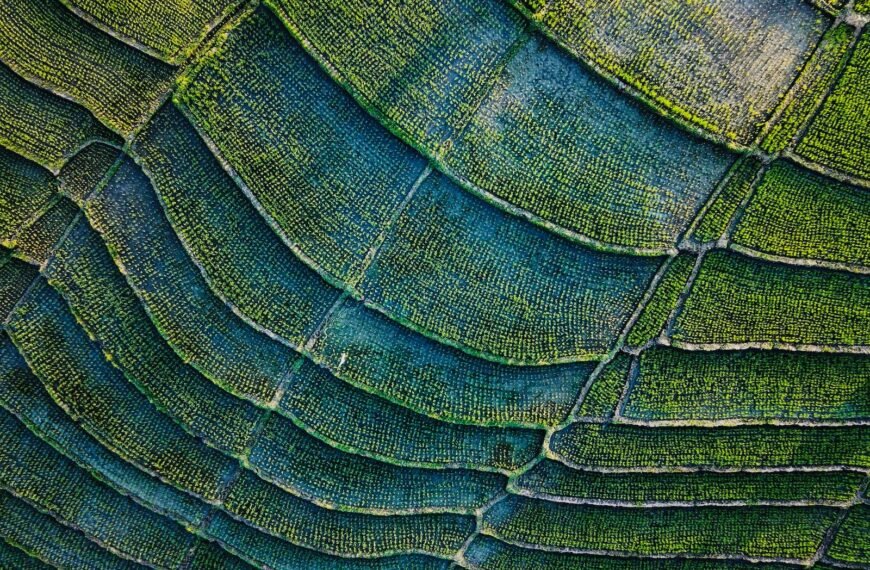 green and black textile in close up photography