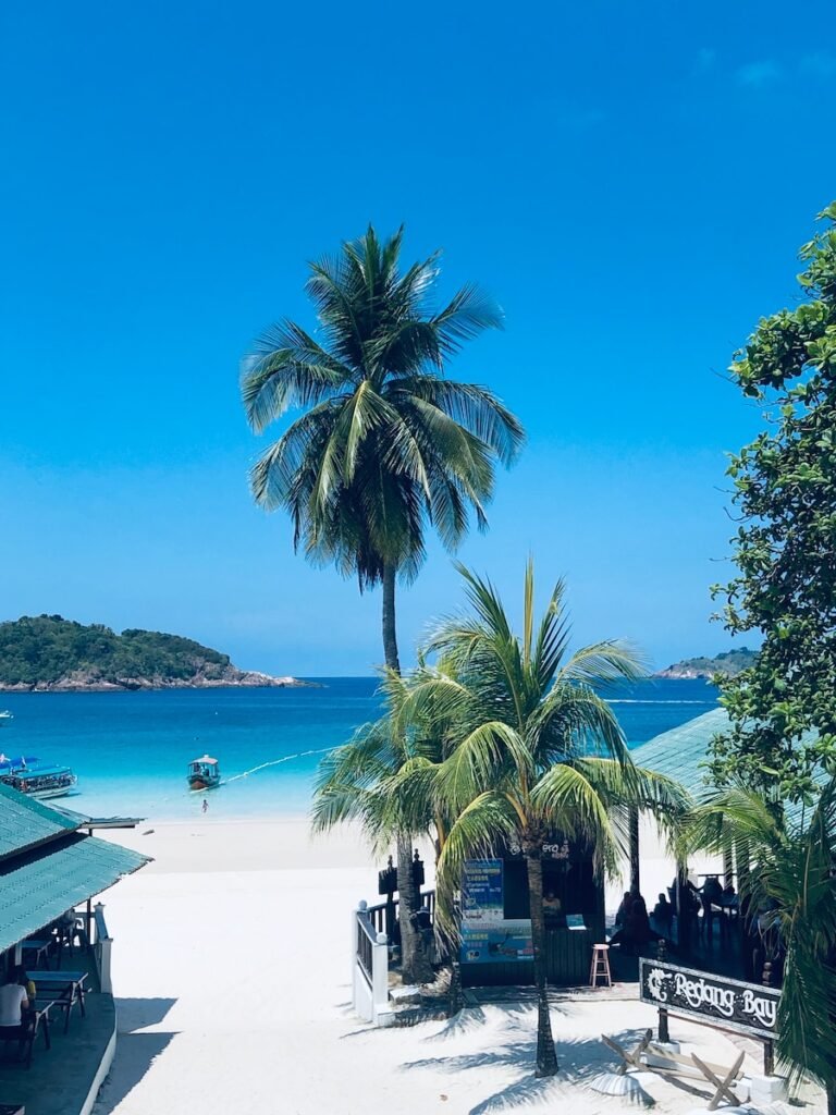 a white sandy beach with a palm tree