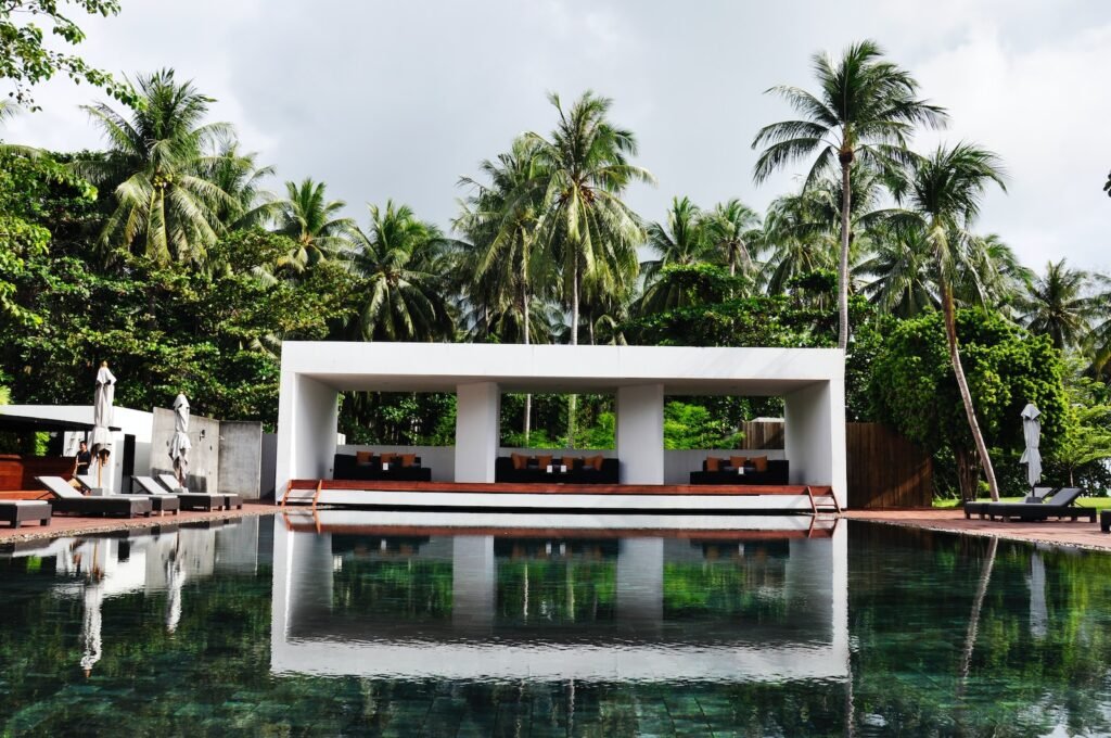 swimming pool surrounded by trees