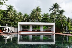 swimming pool surrounded by trees