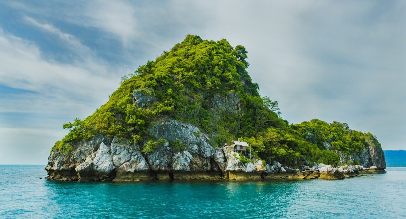 green trees on cliff
