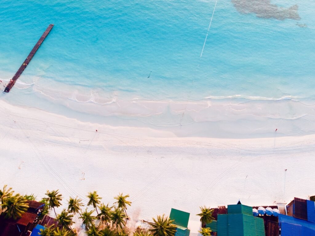 an aerial view of a beach with palm trees