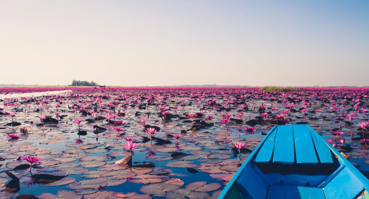 blue jon boat on body of water with lily flowers during daytime
