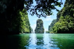 a body of water with trees around it