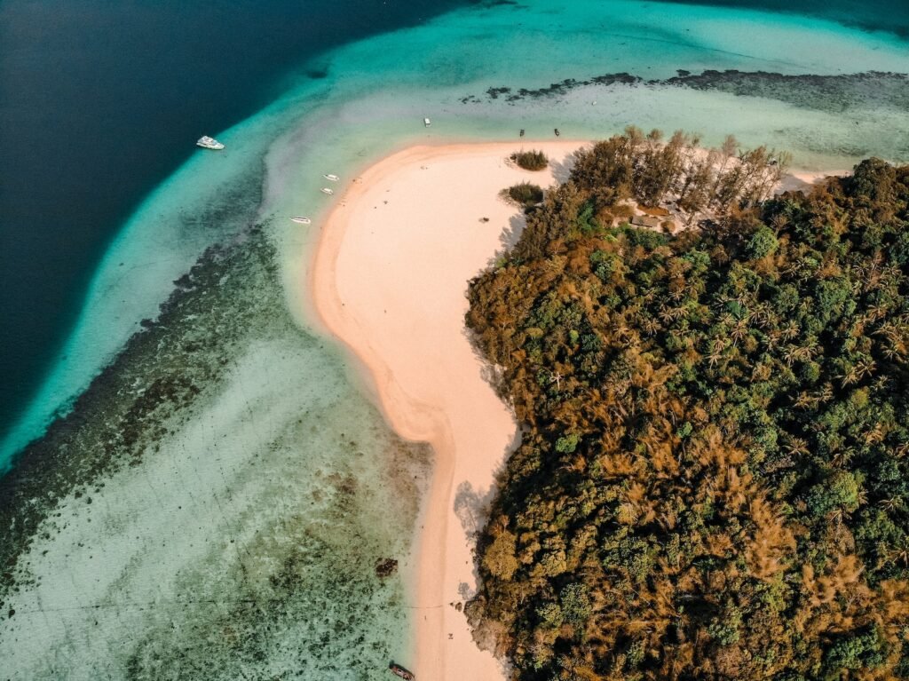 aerial view of green trees beside blue sea during daytime