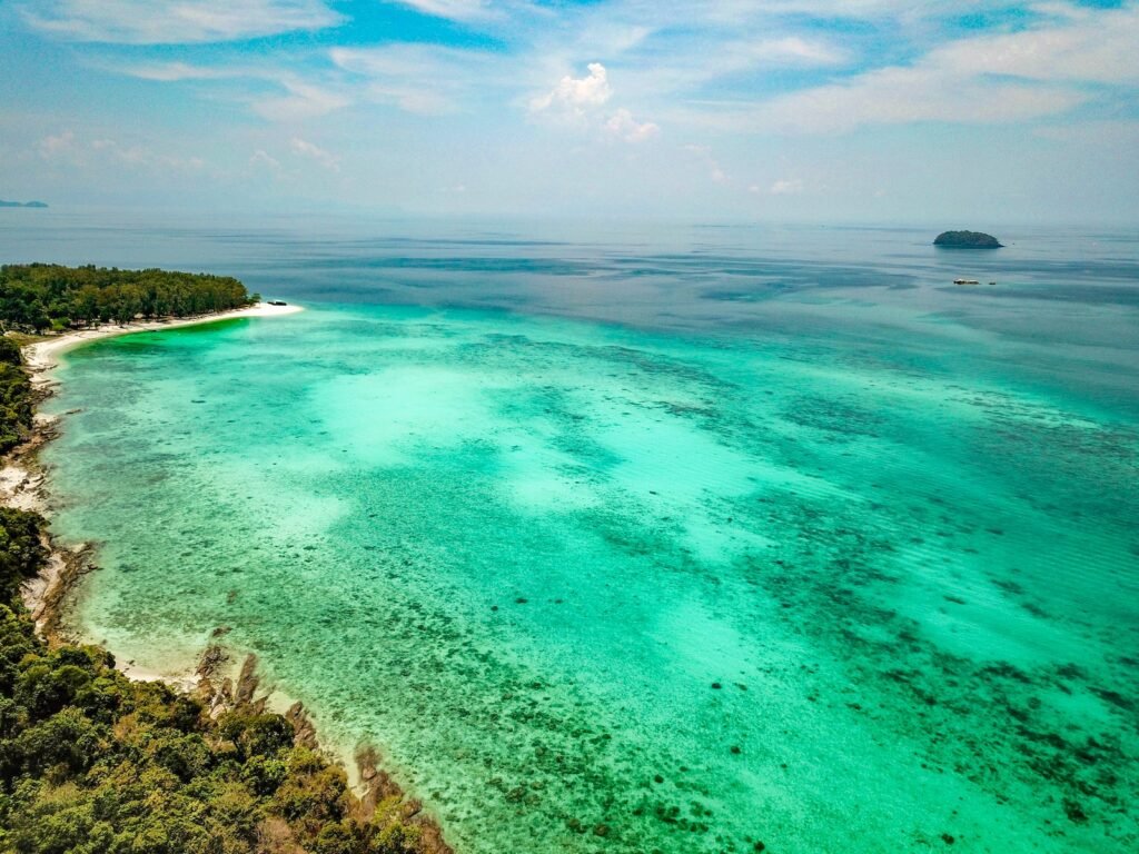 aerial photography of green body of water