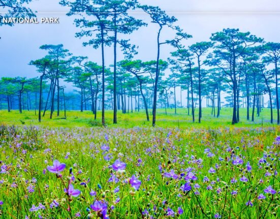 phu soi dao national park thailand insider