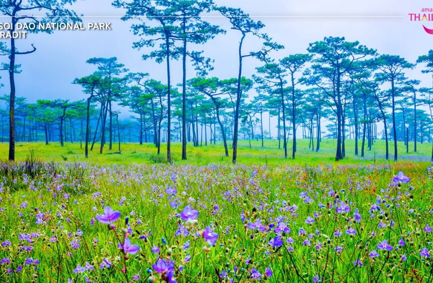phu soi dao national park thailand insider