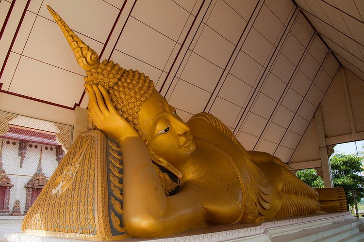 wat champa thong singburi
