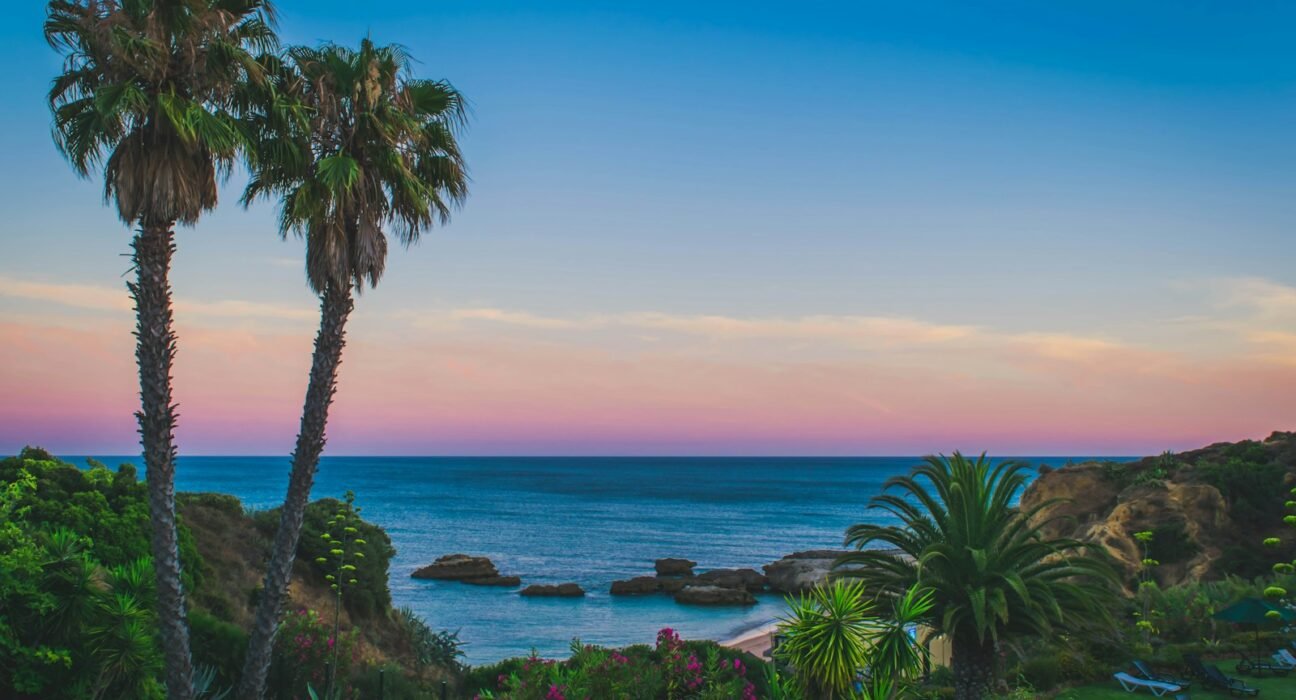 coconut trees and body of water painting