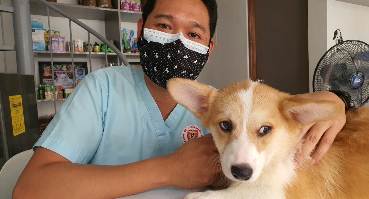 a man wearing a face mask sitting next to a dog